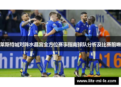 莱斯特城对阵水晶宫全方位赛事指南球队分析及比赛前瞻