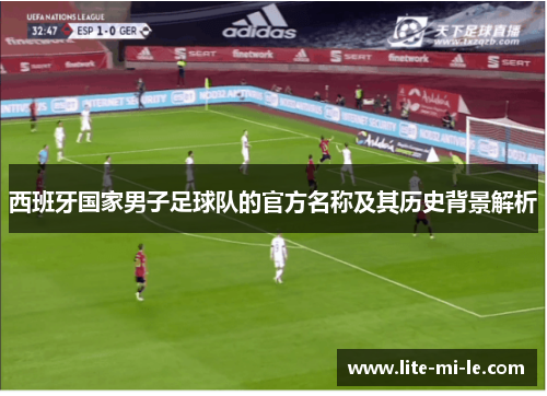 西班牙国家男子足球队的官方名称及其历史背景解析