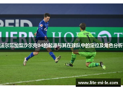法尔范加盟沙尔克04的起源与其在球队中的定位及角色分析 法尔范加盟沙尔克04的起源与其在球队中的定位及角色分析