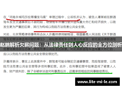 赵鹏解析欠薪问题：从法律责任到人心反应的全方位剖析