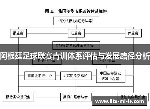 阿根廷足球联赛青训体系评估与发展路径分析