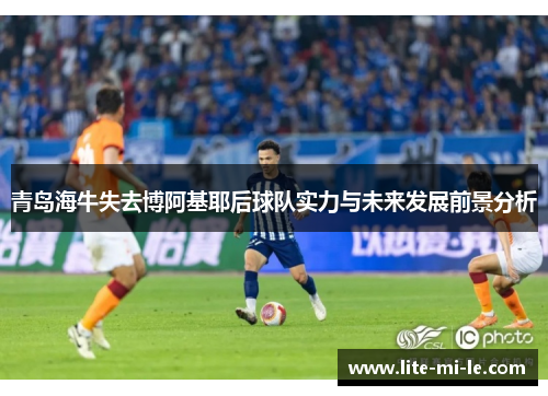 青岛海牛失去博阿基耶后球队实力与未来发展前景分析