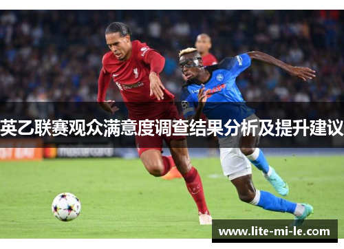 英乙联赛观众满意度调查结果分析及提升建议