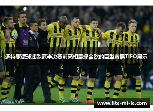 多特蒙德球迷欧冠半决赛前亮相震撼全欧的巨型黄黑TIFO展示 多特蒙德球迷欧冠半决赛前亮相震撼全欧的巨型黄黑TIFO展示