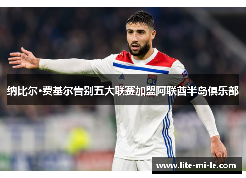 纳比尔·费基尔告别五大联赛加盟阿联酋半岛俱乐部