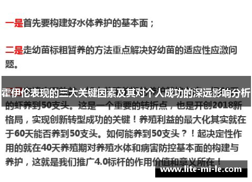 霍伊伦表现的三大关键因素及其对个人成功的深远影响分析