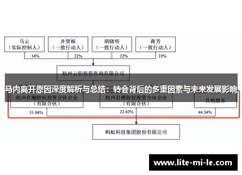 马内离开原因深度解析与总结：转会背后的多重因素与未来发展影响